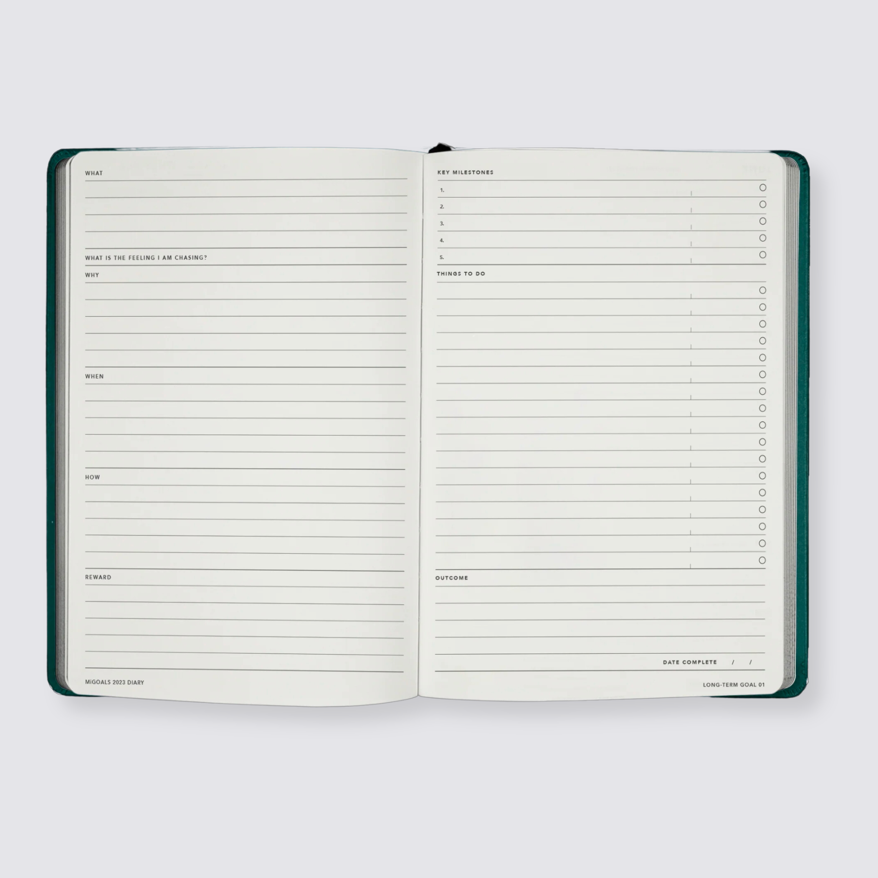 2024 diary goal planning