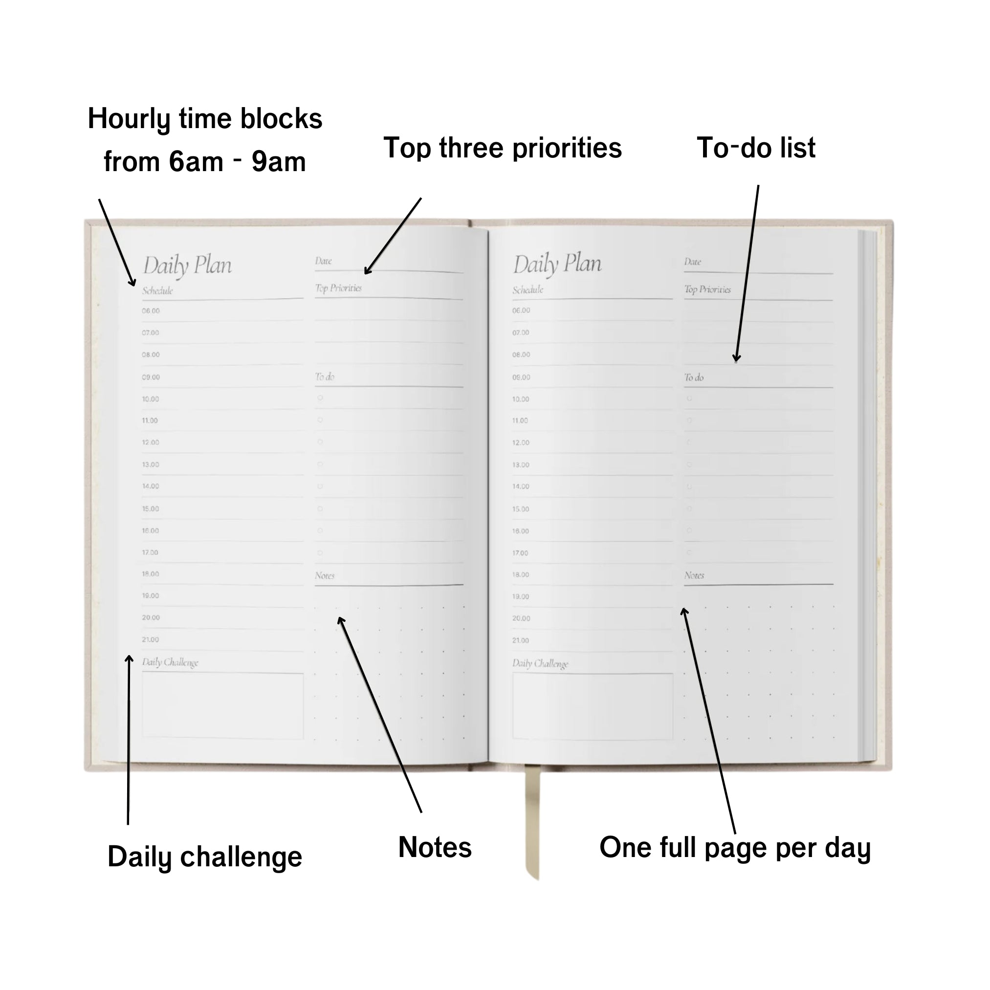 daily planner spread