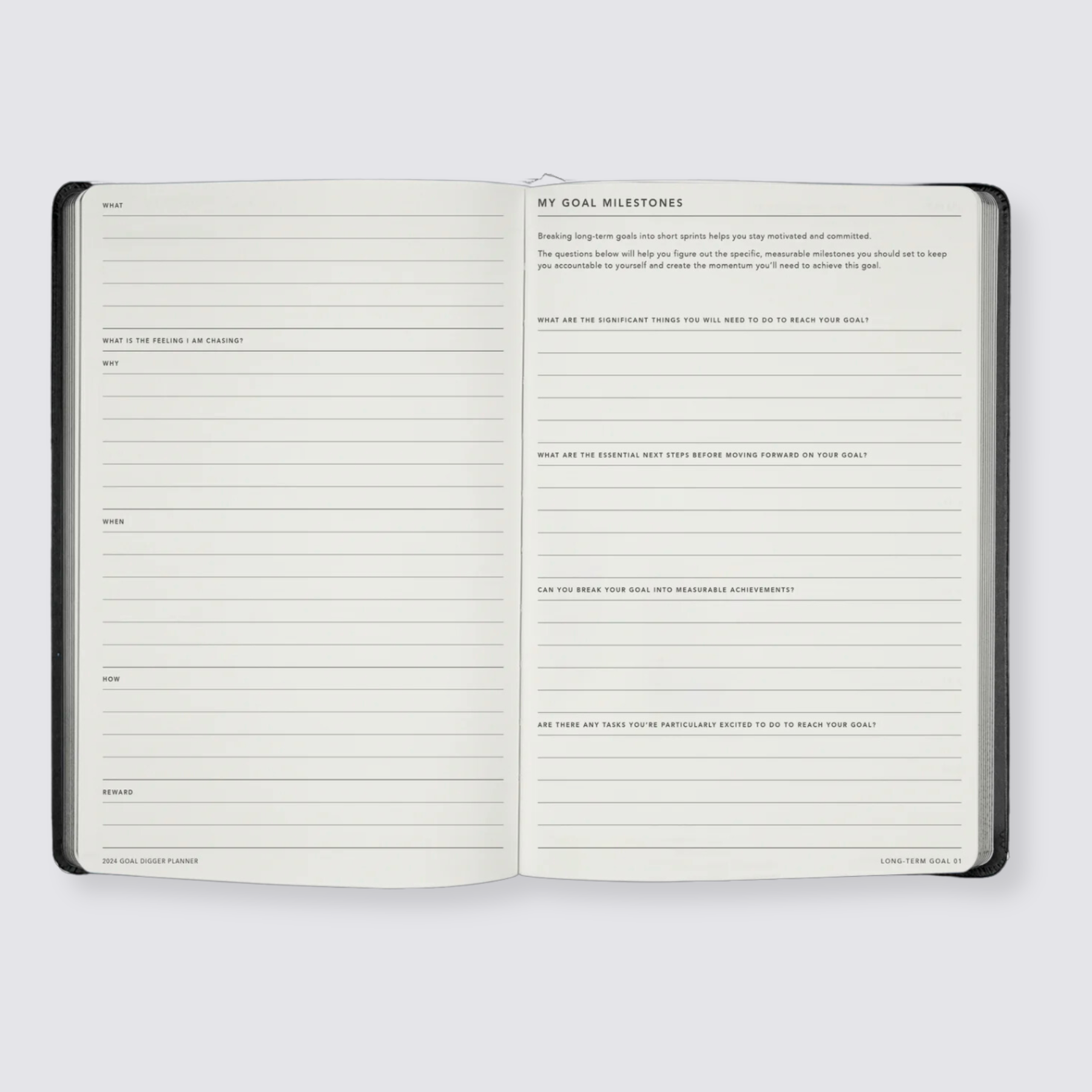 Weekly goal planner diary 2024
