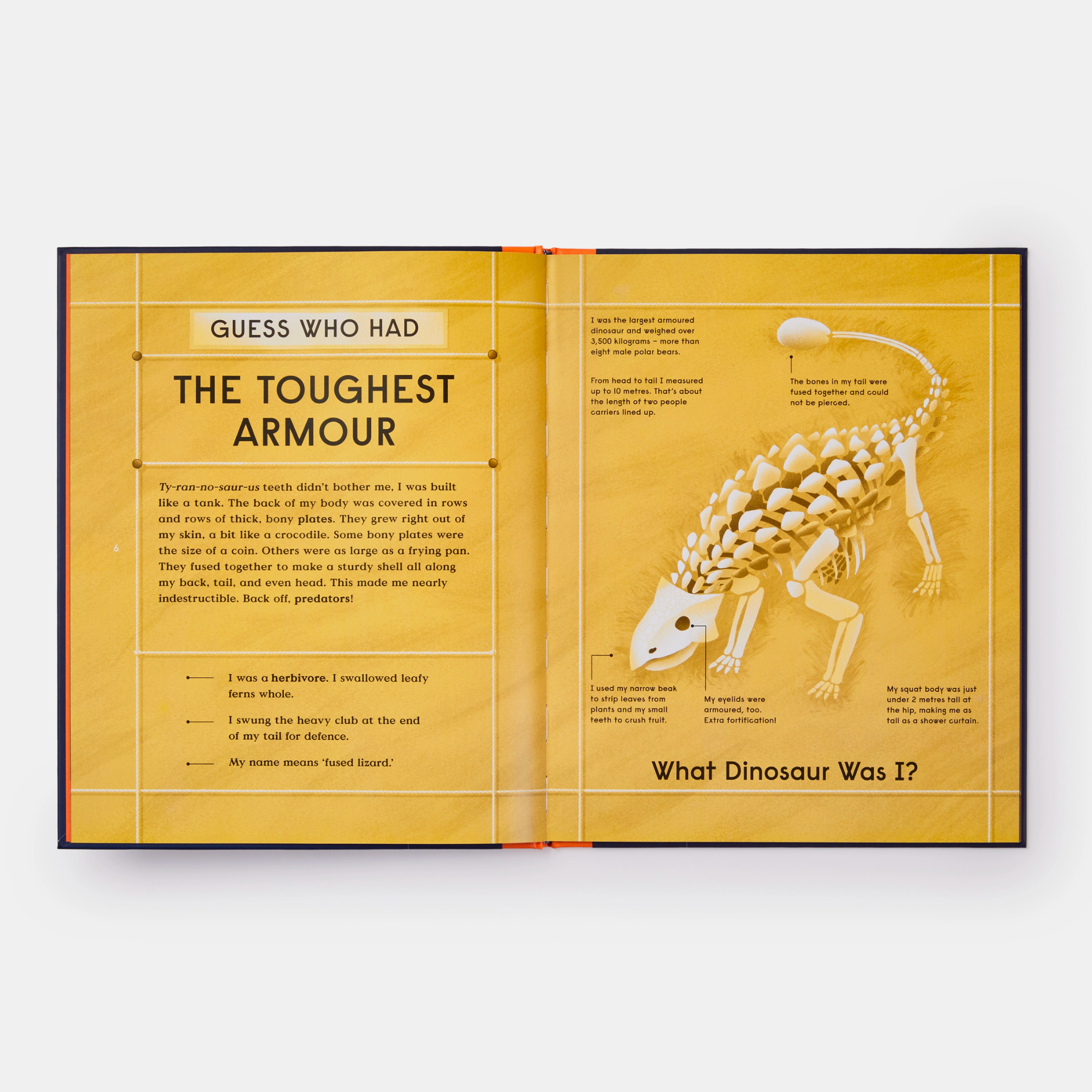 Book of Dinosaurs