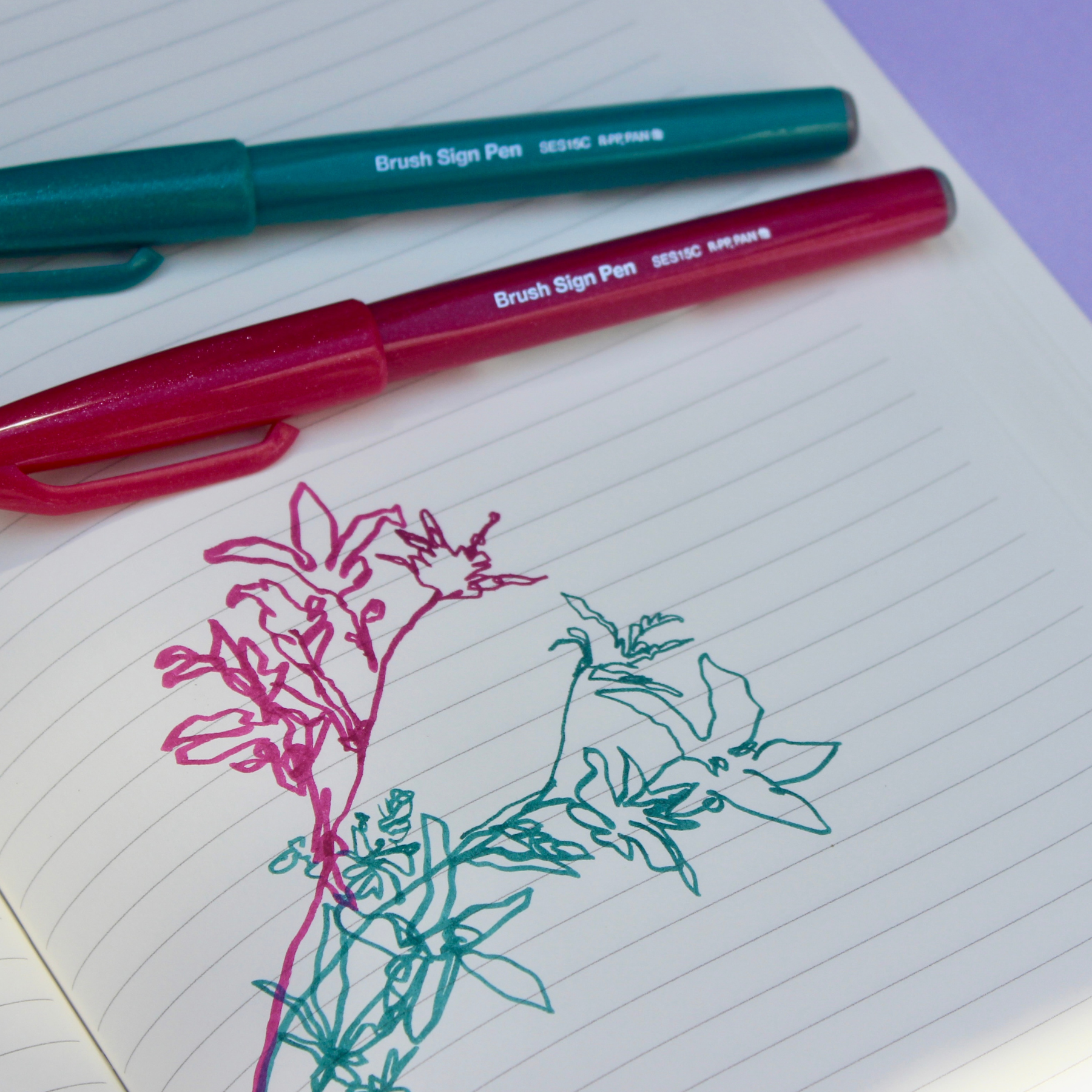 Brush Sign Pens