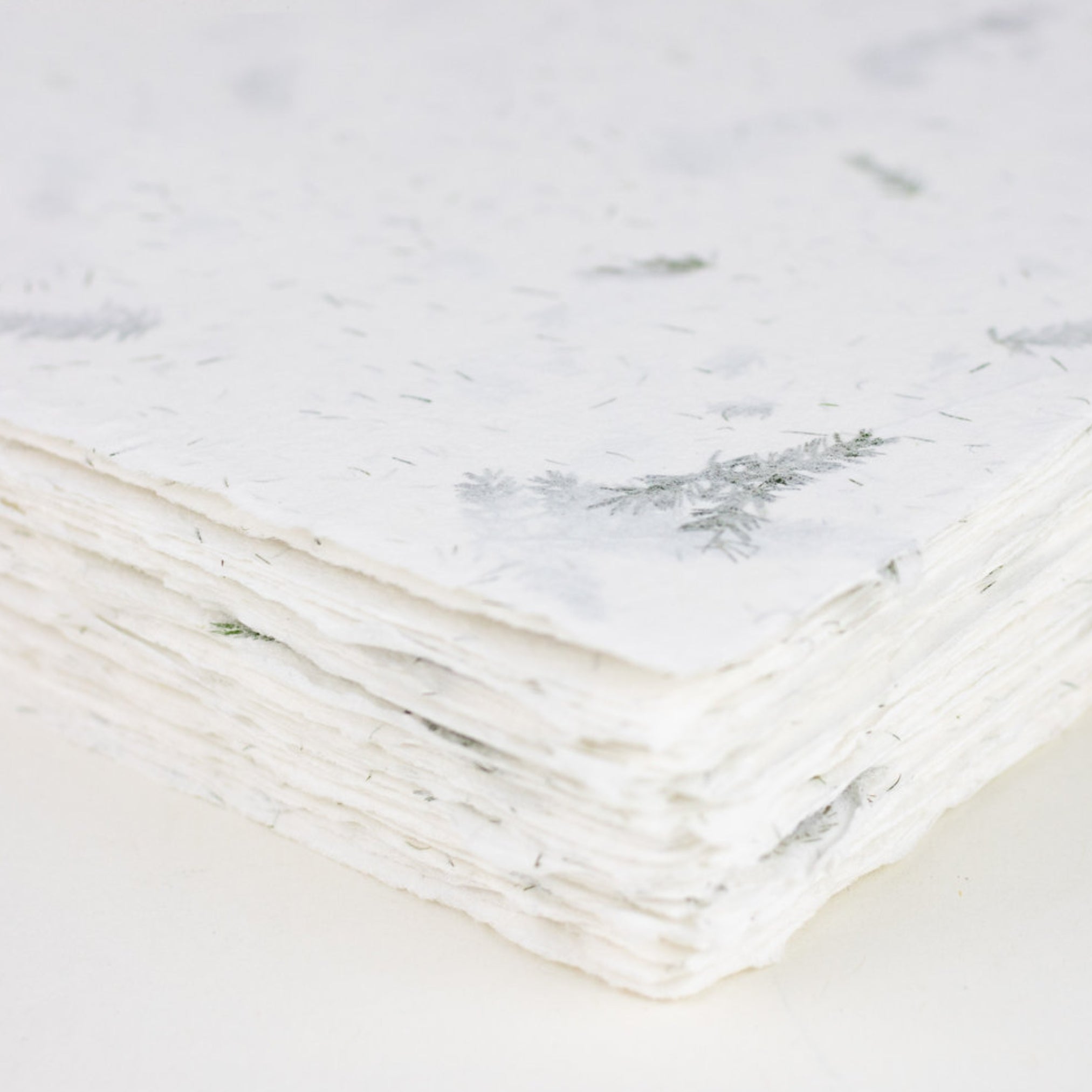 Handmade Paper Placecards - Set of 10 / Fern