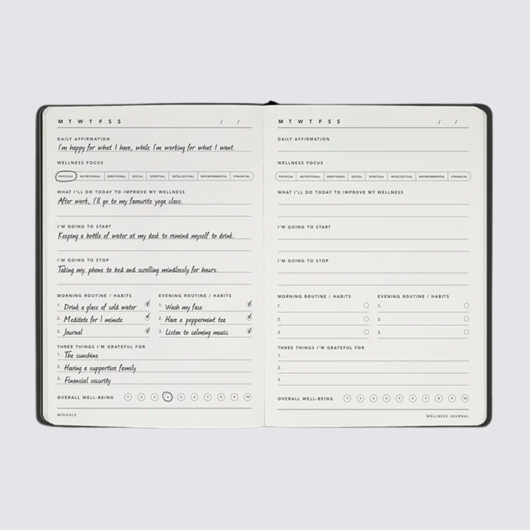wellness journal