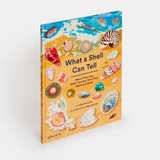 What a Shell Can Tell