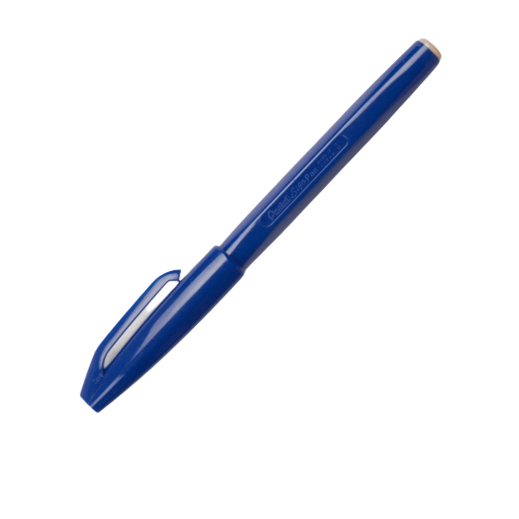 blue sign pen