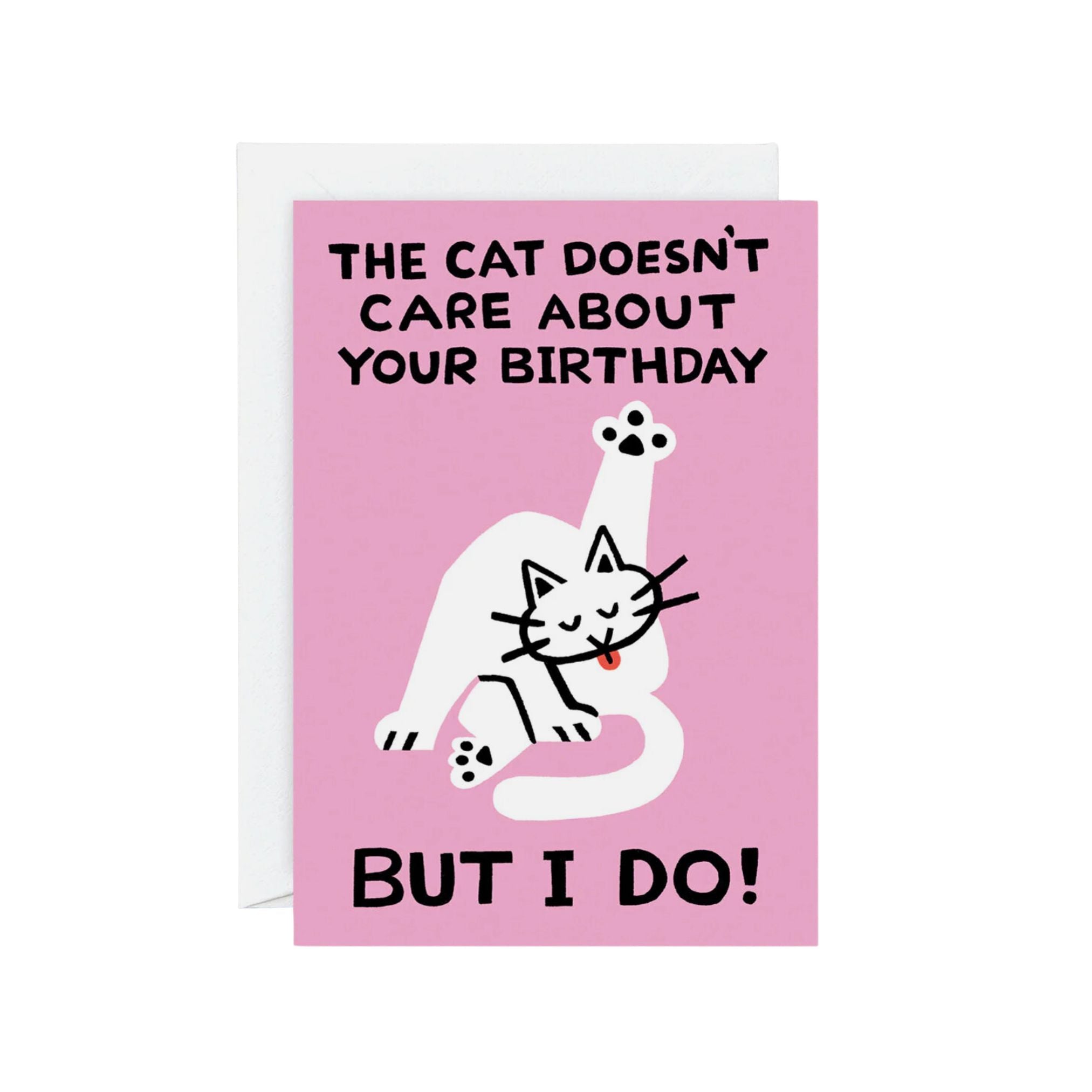 The Cat Doesn't Care Birthday Card