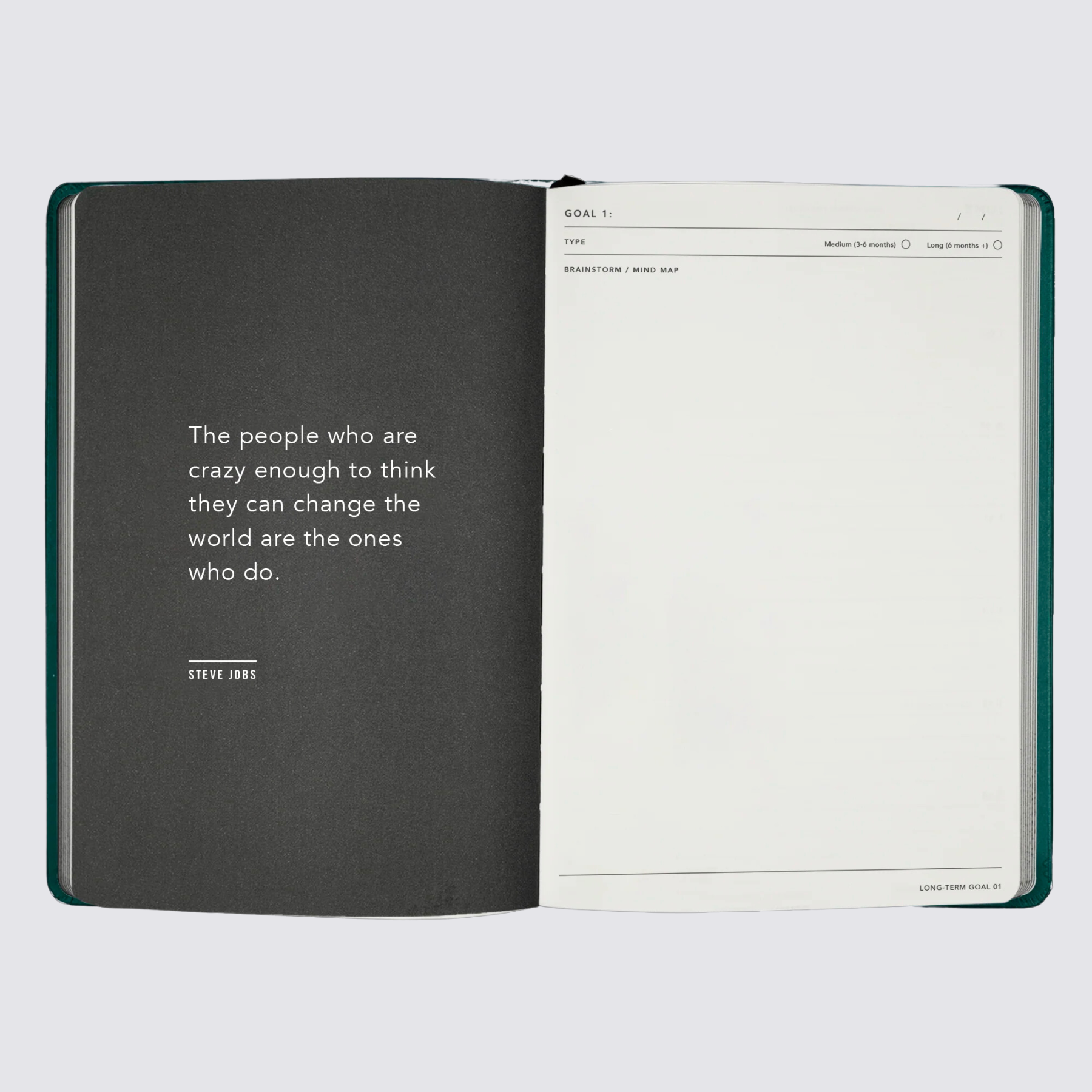 Goal planning 2024 diary